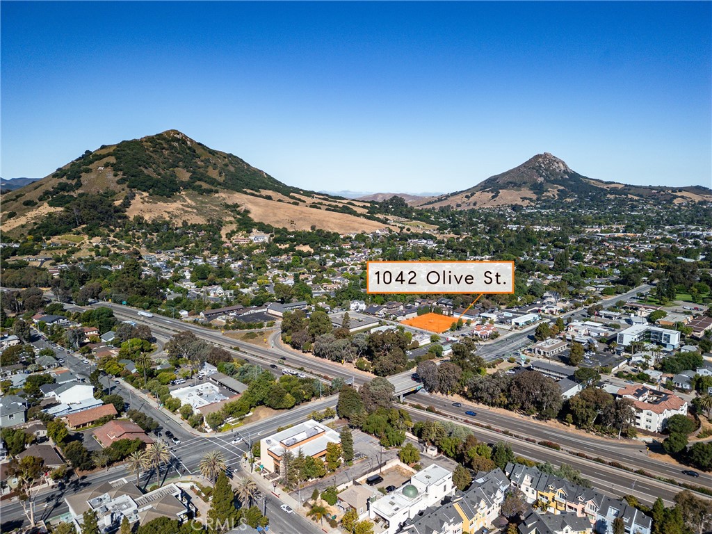 1042 Olive Street