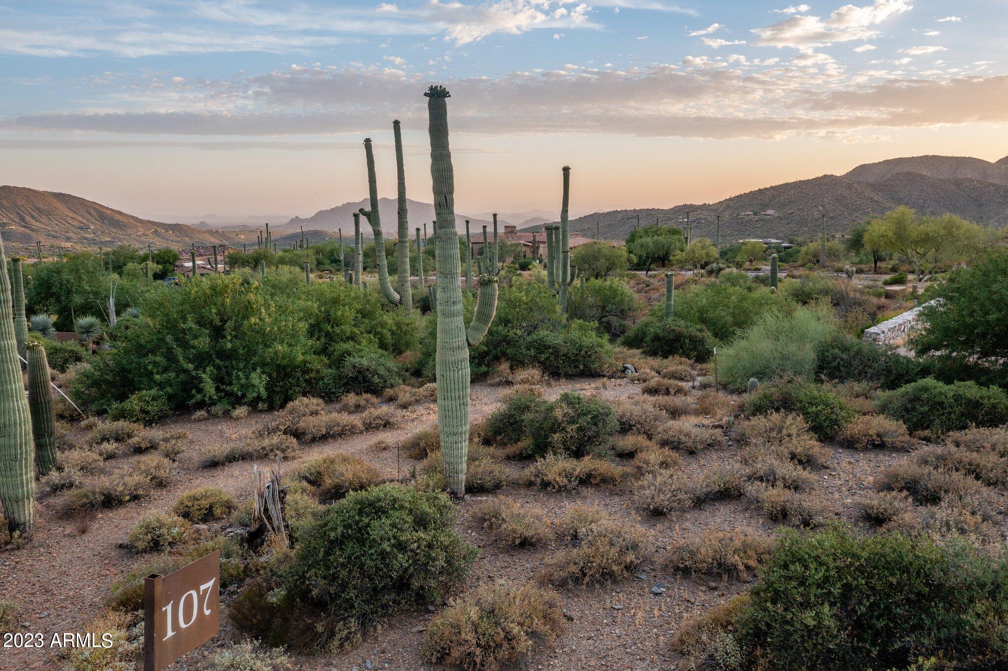 41927 N SAGUARO FOREST Drive 107