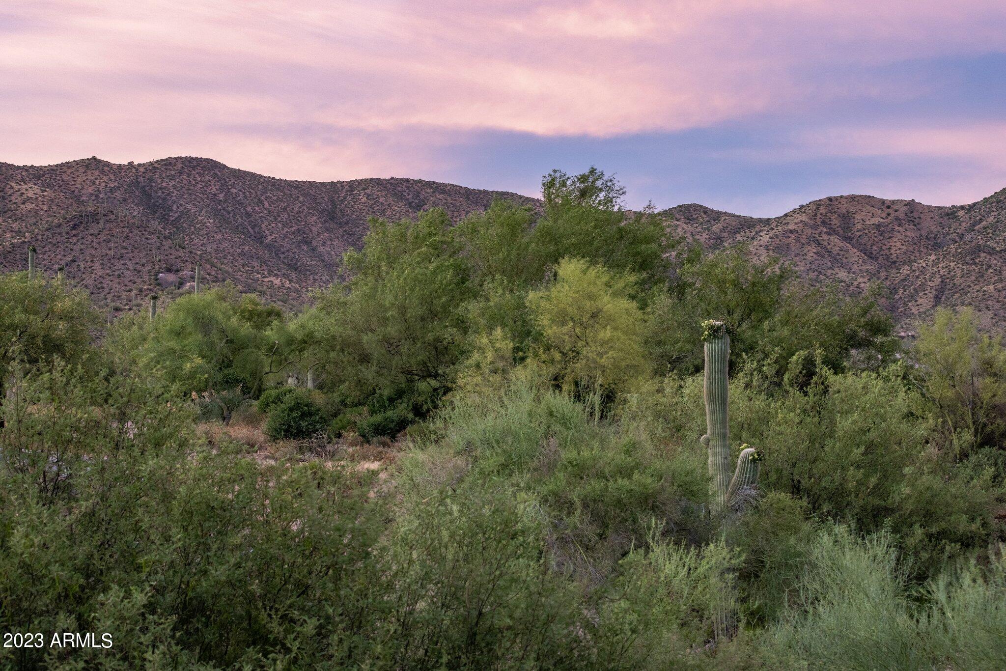41927 N SAGUARO FOREST Drive 107