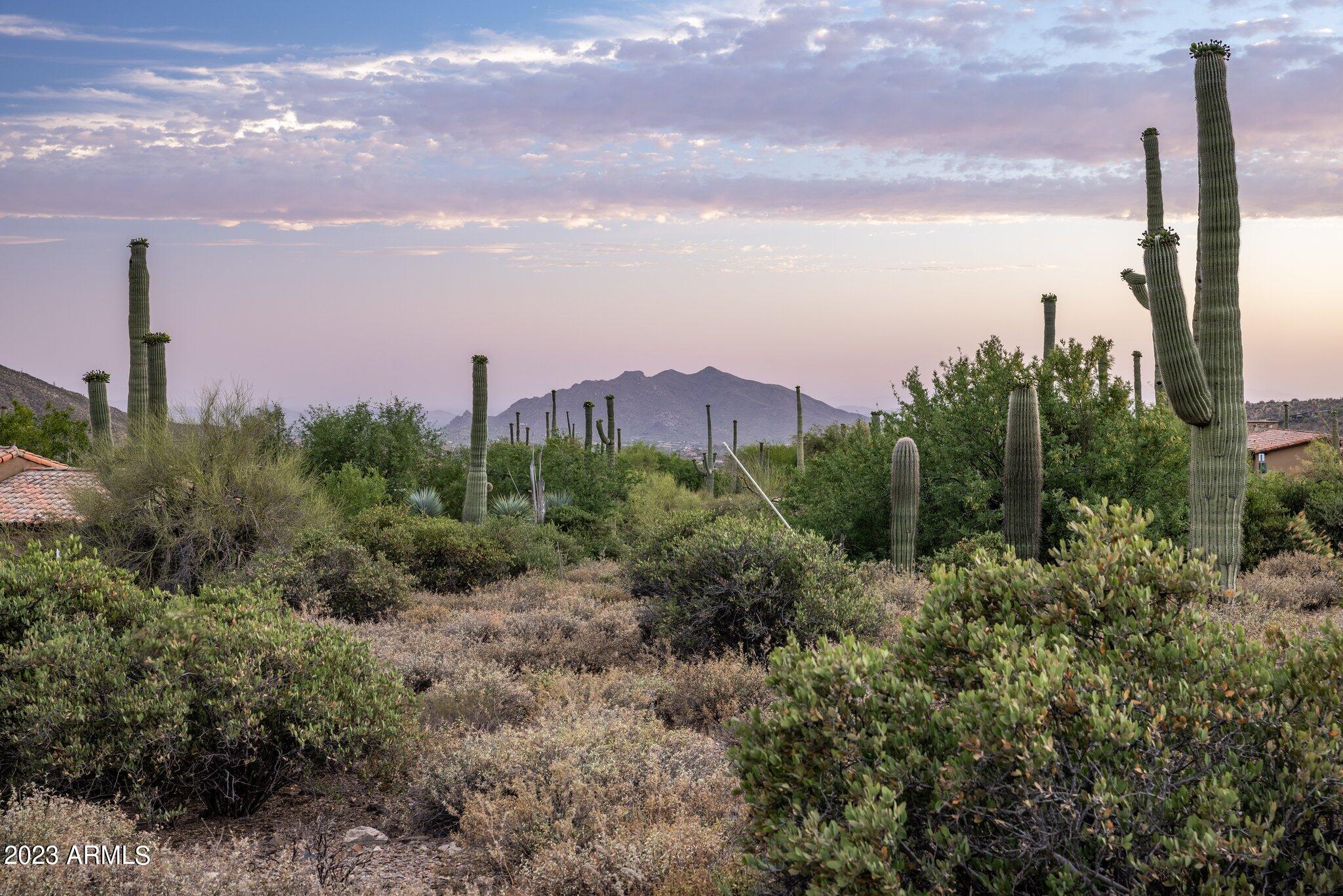 41927 N SAGUARO FOREST Drive 107