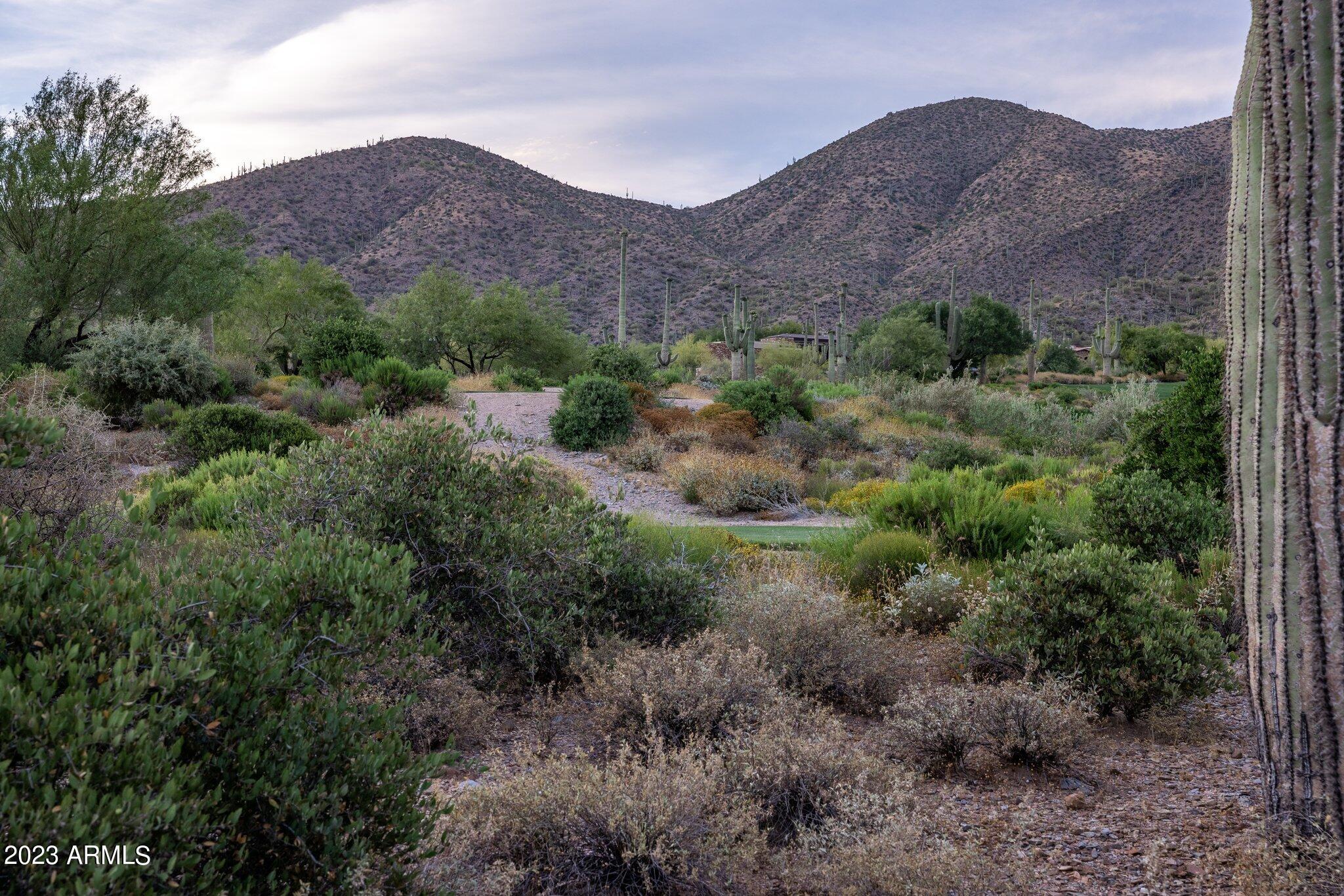 41927 N SAGUARO FOREST Drive 107