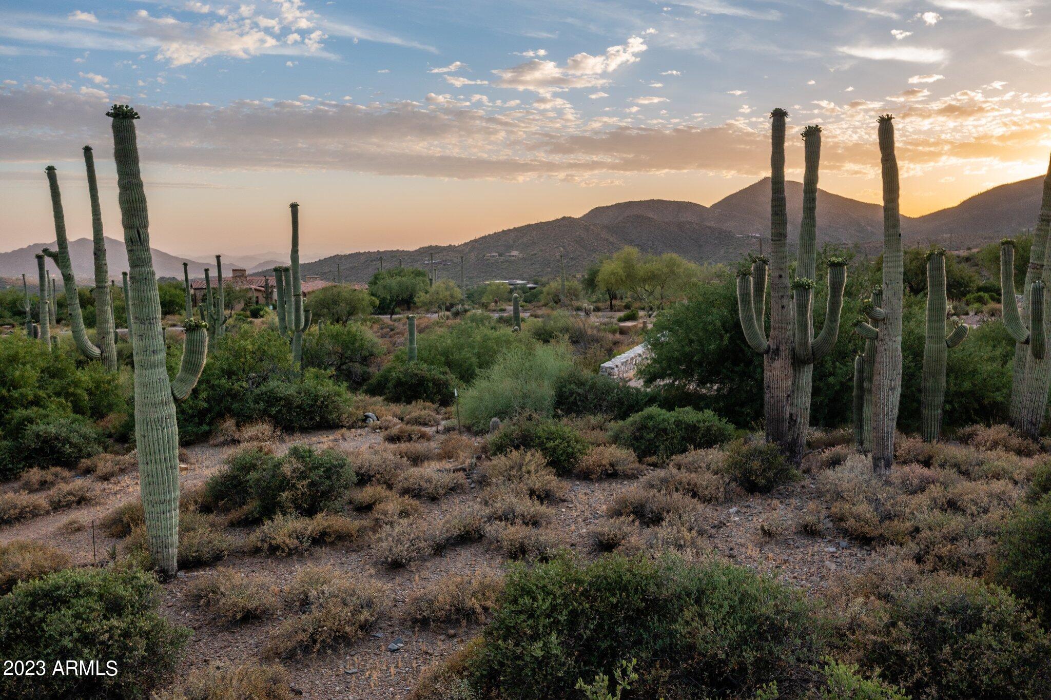 41927 N SAGUARO FOREST Drive 107