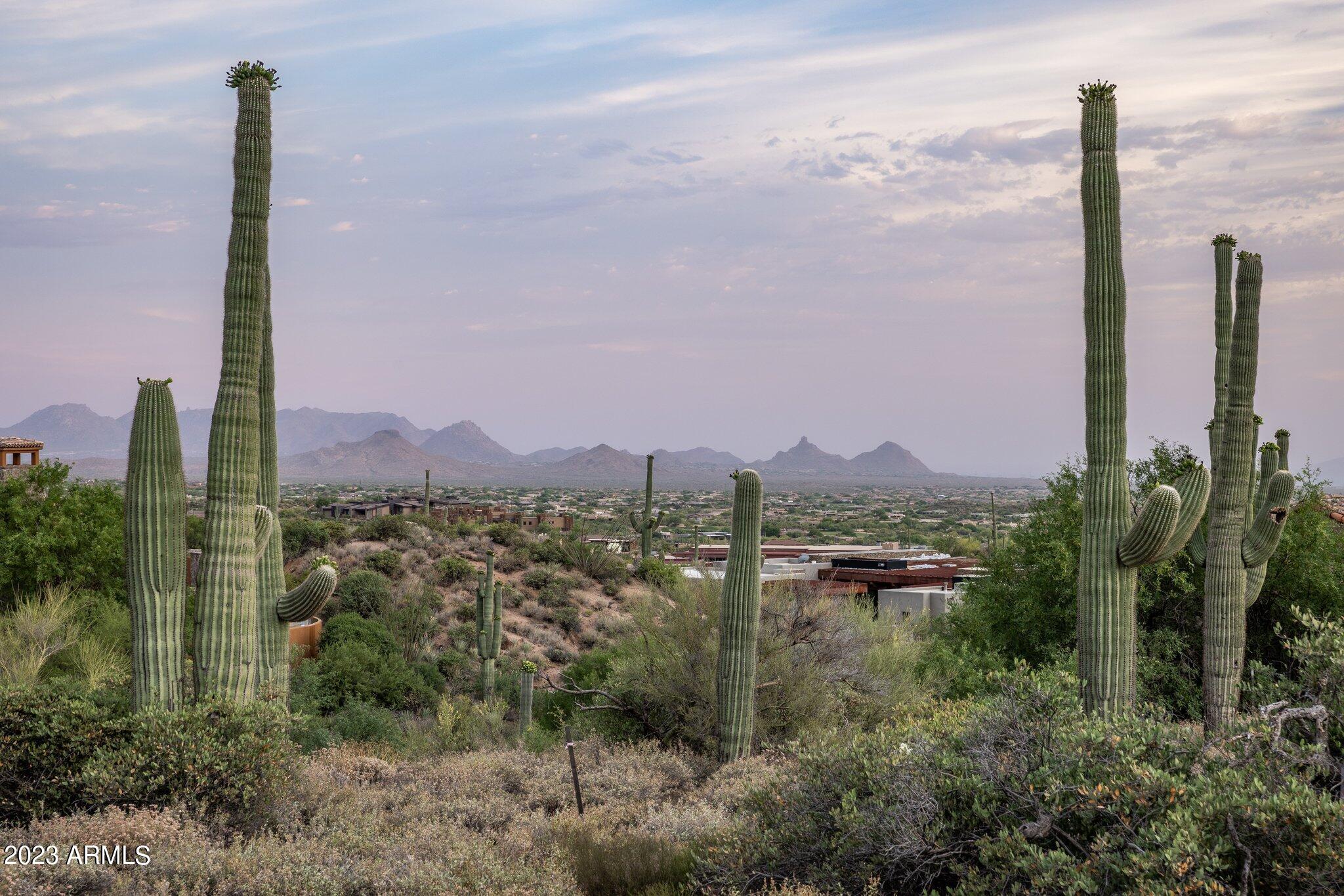 41927 N SAGUARO FOREST Drive 107