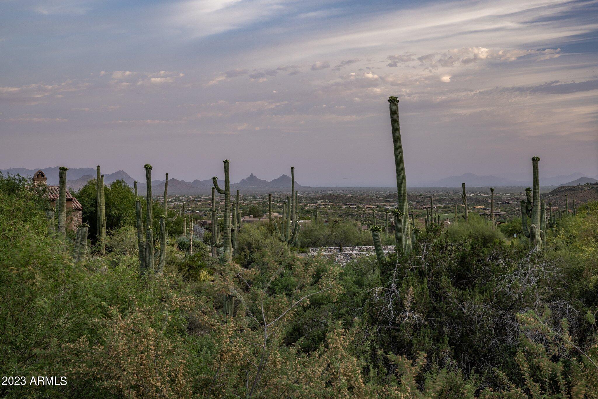 41927 N SAGUARO FOREST Drive 107