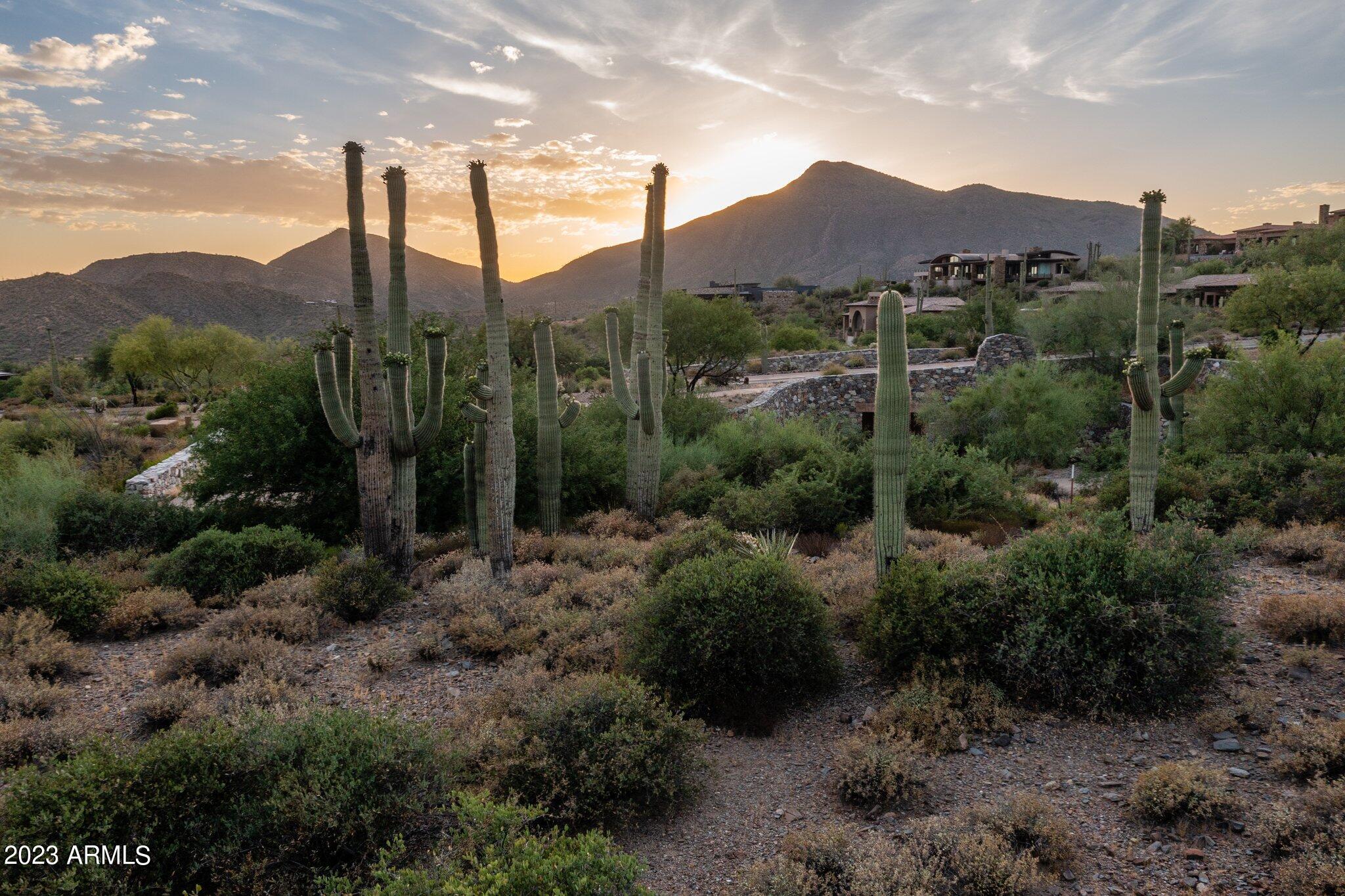 41927 N SAGUARO FOREST Drive 107