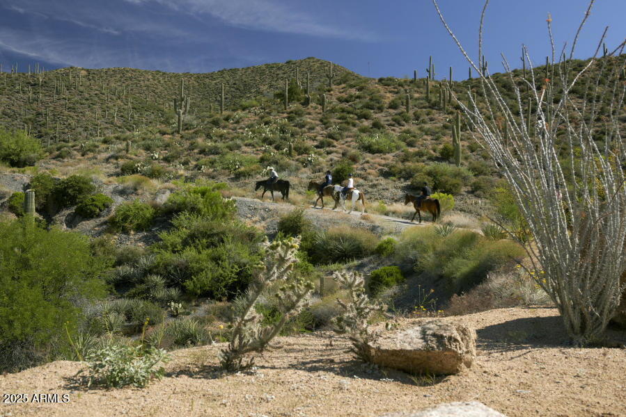 10651 E FERNWOOD Lane