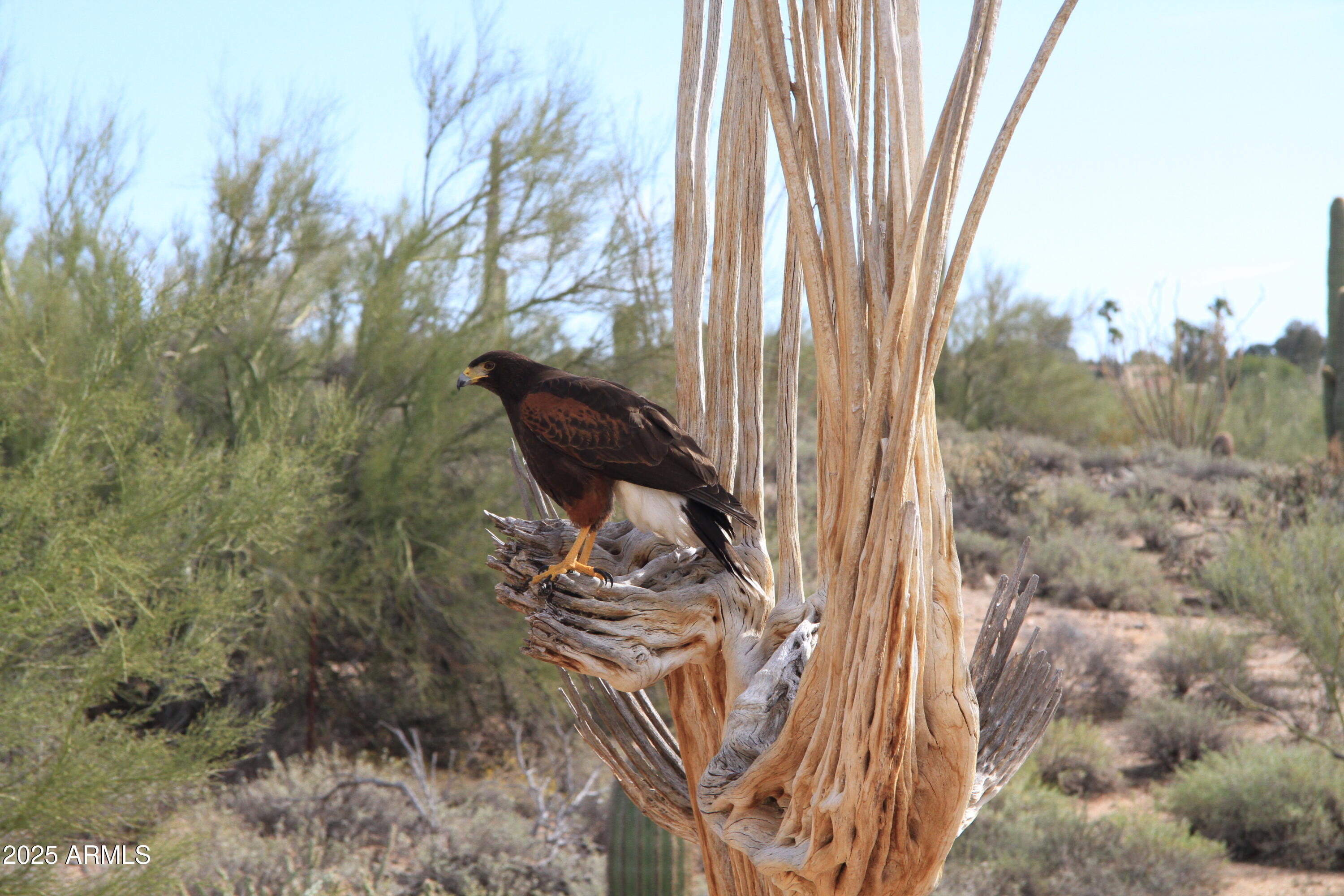 10651 E FERNWOOD Lane