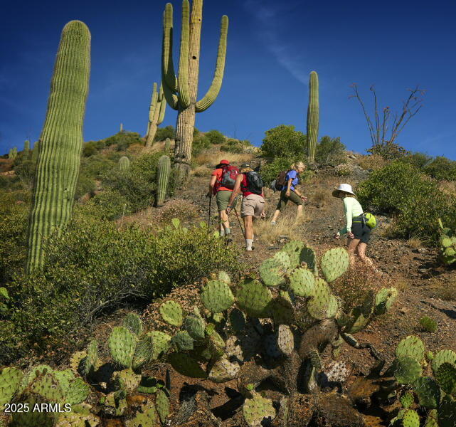 10651 E FERNWOOD Lane