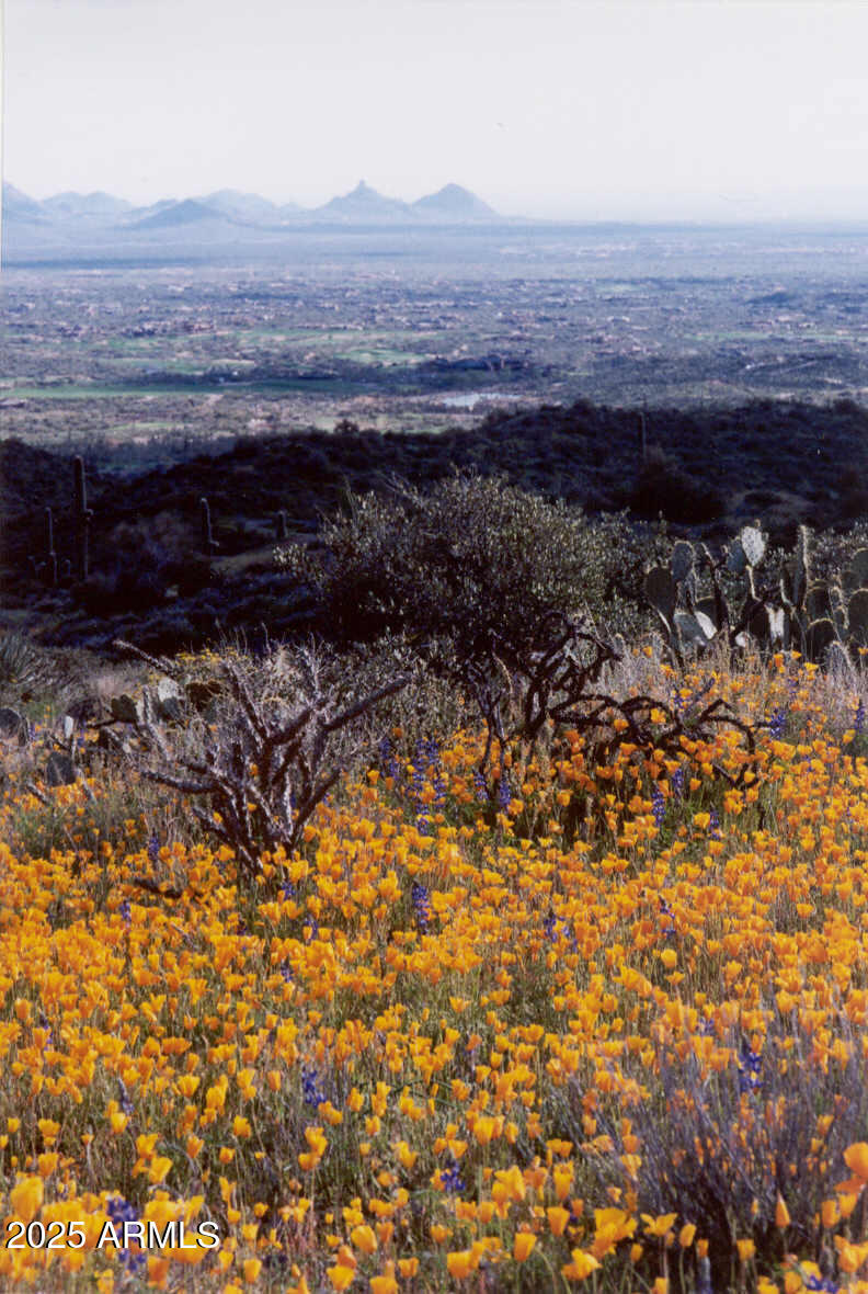 10651 E FERNWOOD Lane