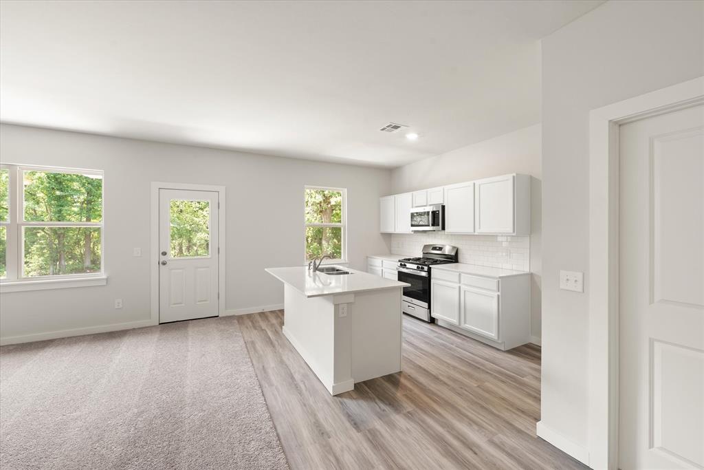 225 Stella Trail