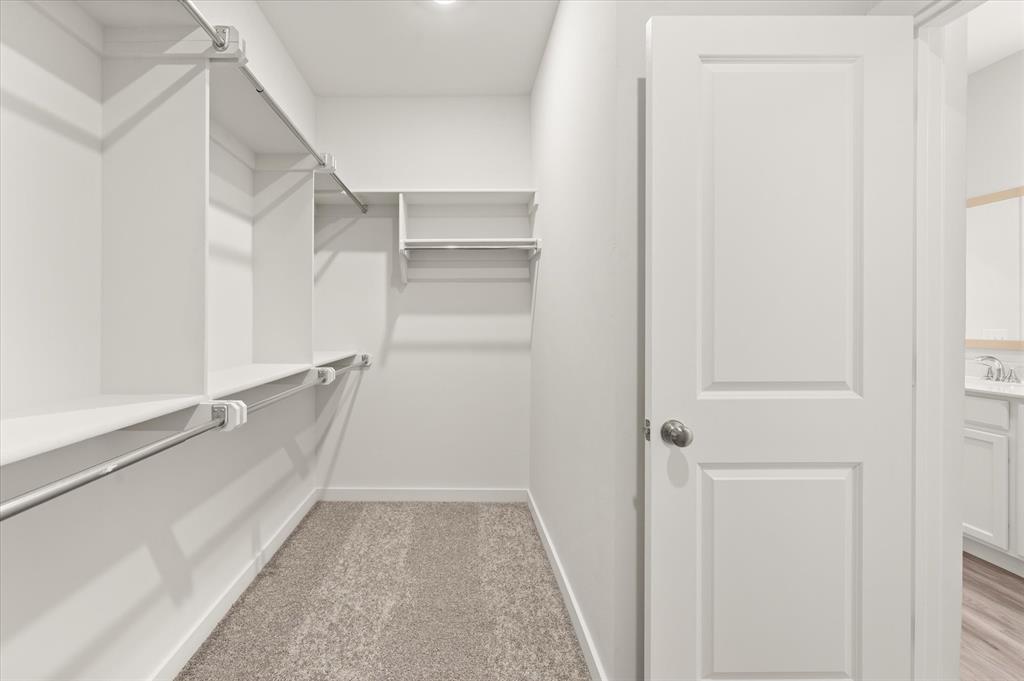 225 Stella Trail