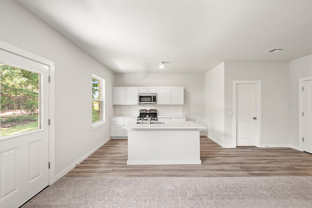 225 Stella Trail