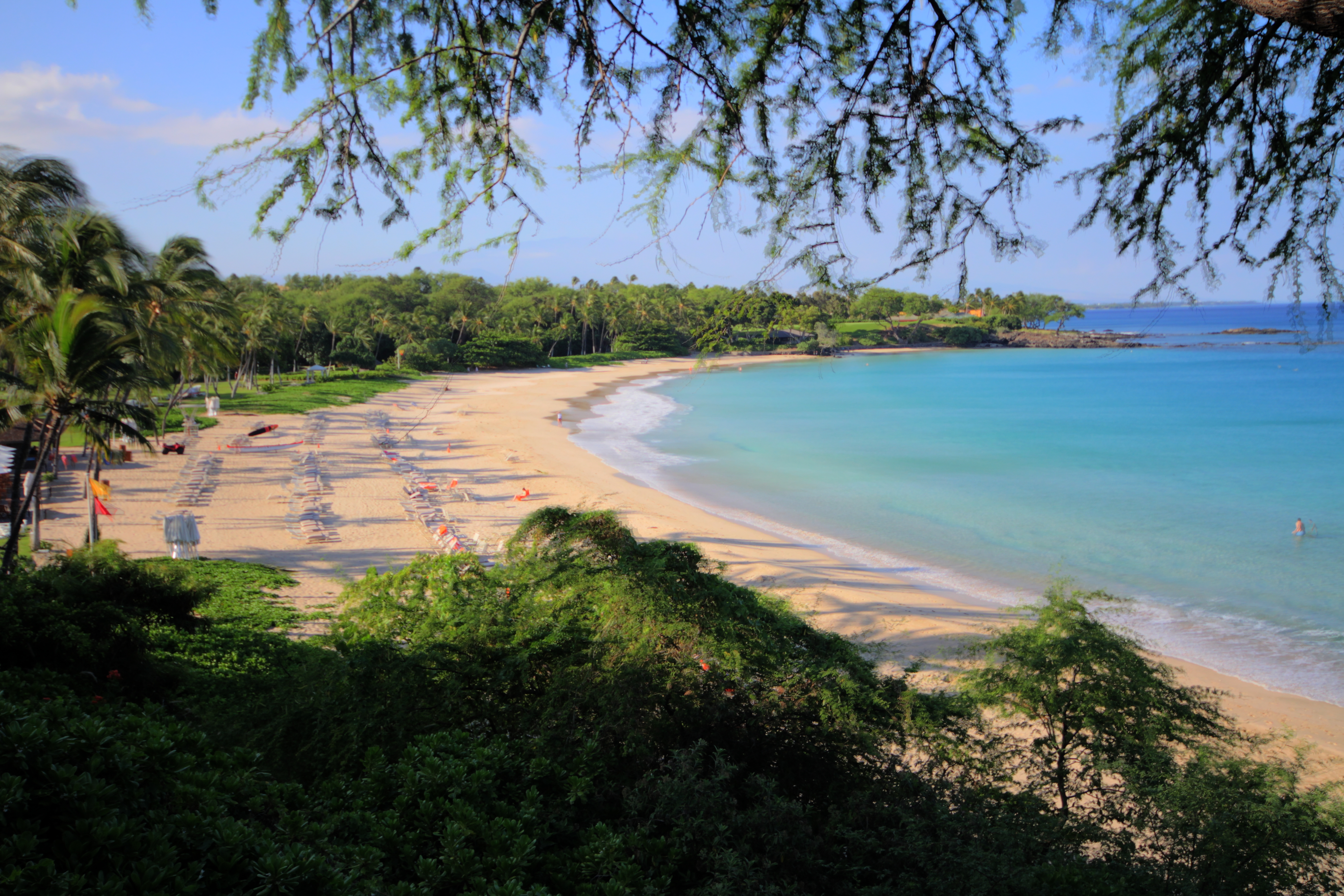 62-3600 AMAUI PL 345