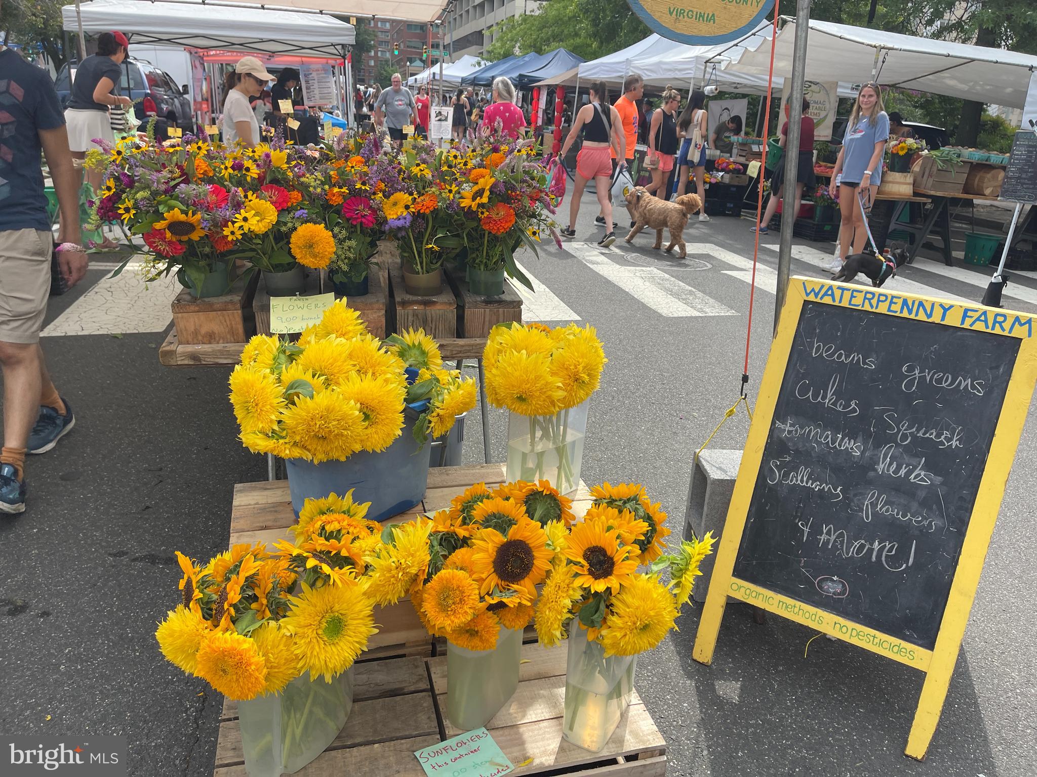 1404 N HERNDON STREET