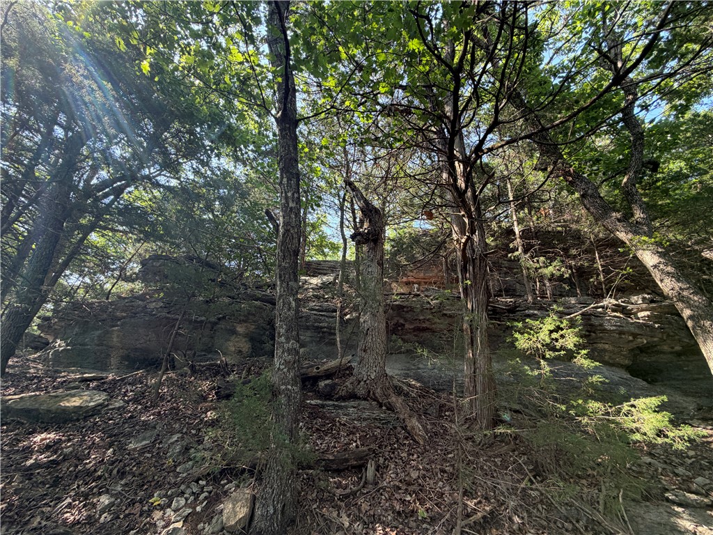 429 Point Mirage Road