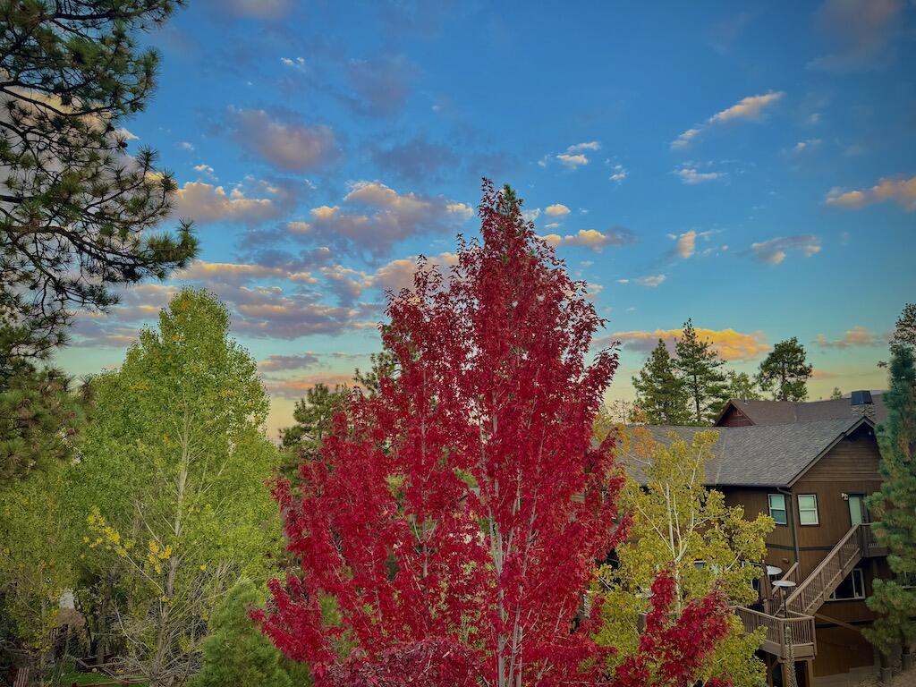 385 Sunrise Way
