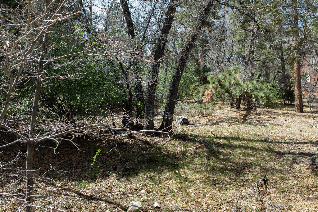 1530 Tuolumne Road