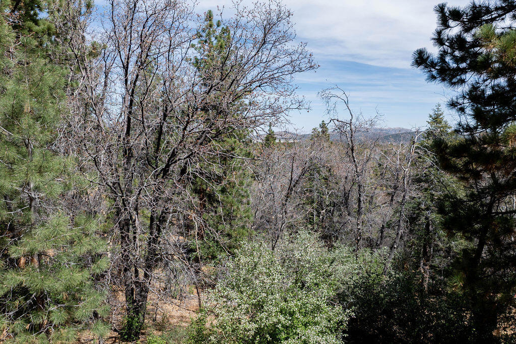 1530 Tuolumne Road