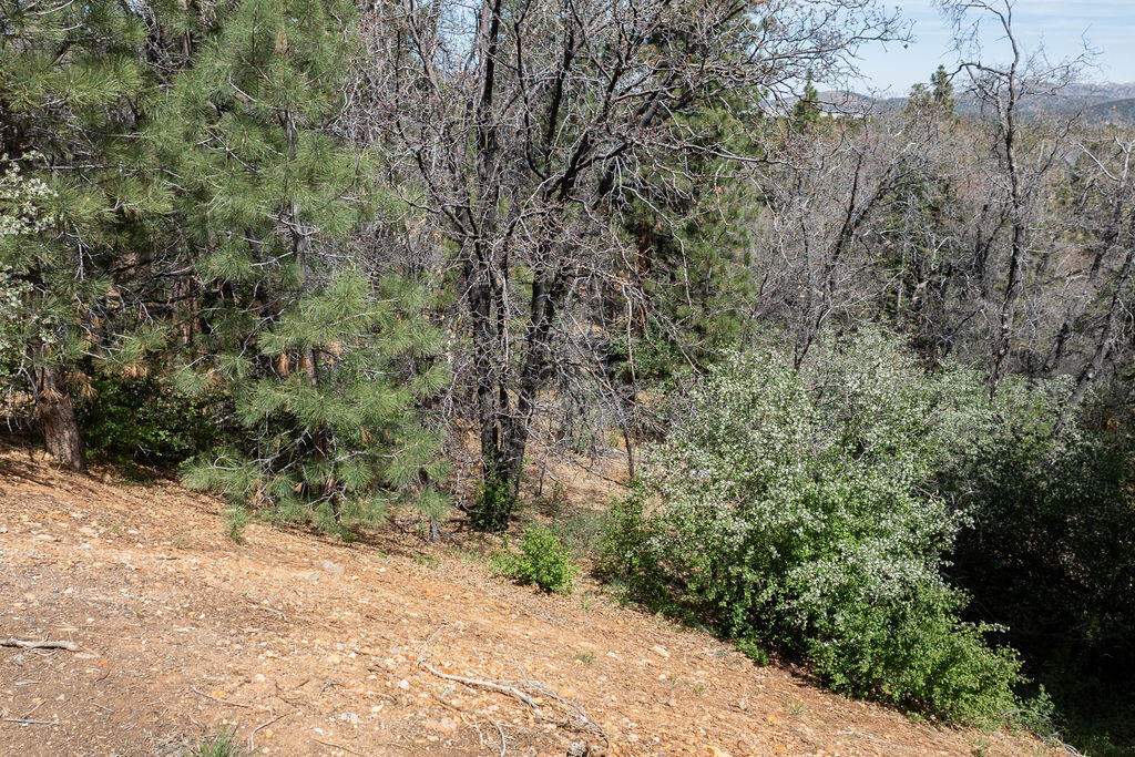 1530 Tuolumne Road