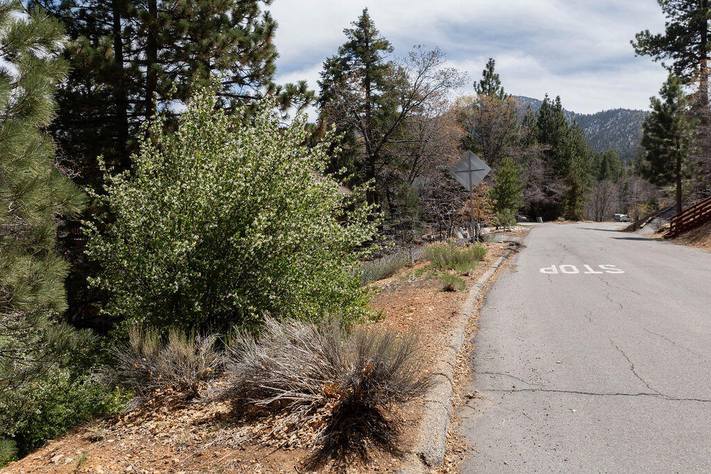 1530 Tuolumne Road