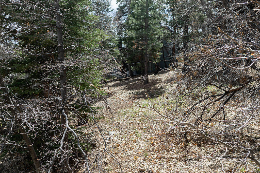 1530 Tuolumne Road