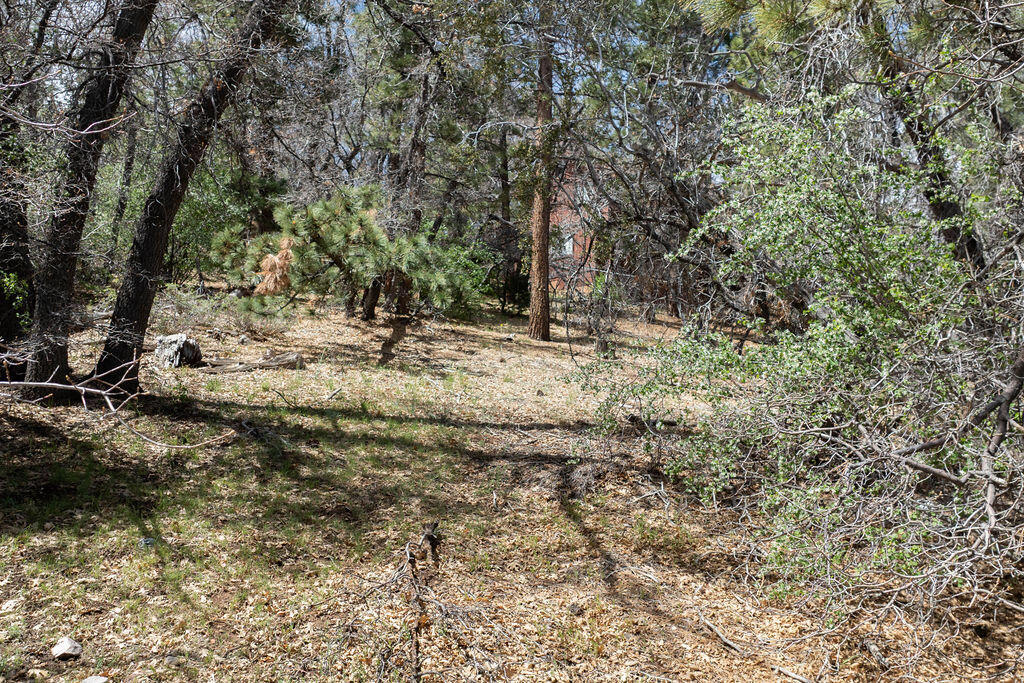 1530 Tuolumne Road