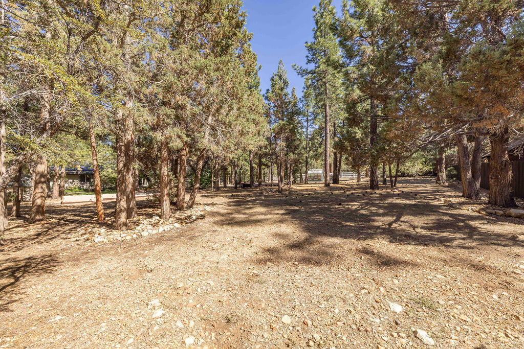 661 Cedar Glen Drive