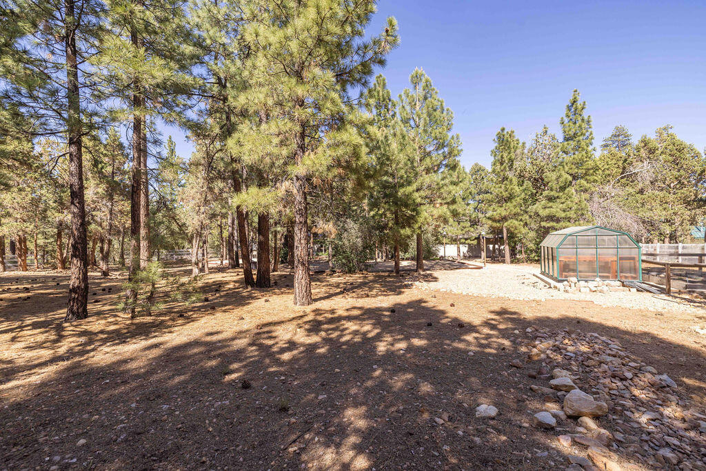 661 Cedar Glen Drive