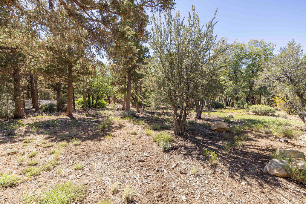 655 Cedar Glen Drive