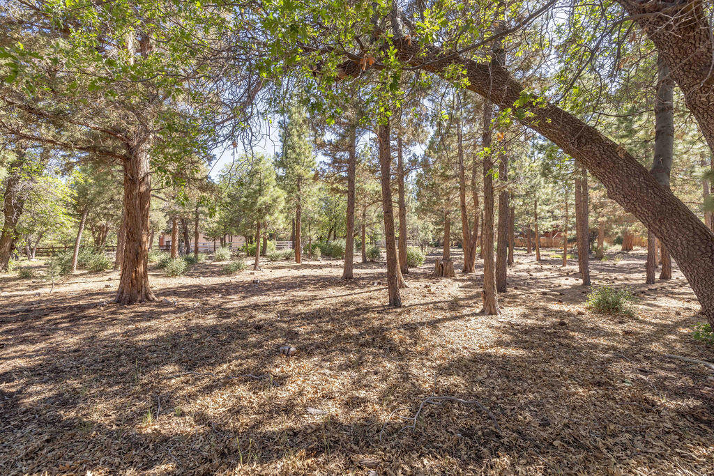 655 Cedar Glen Drive
