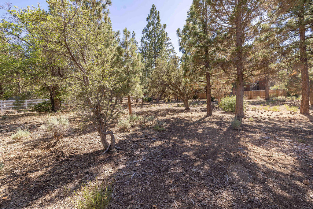 655 Cedar Glen Drive