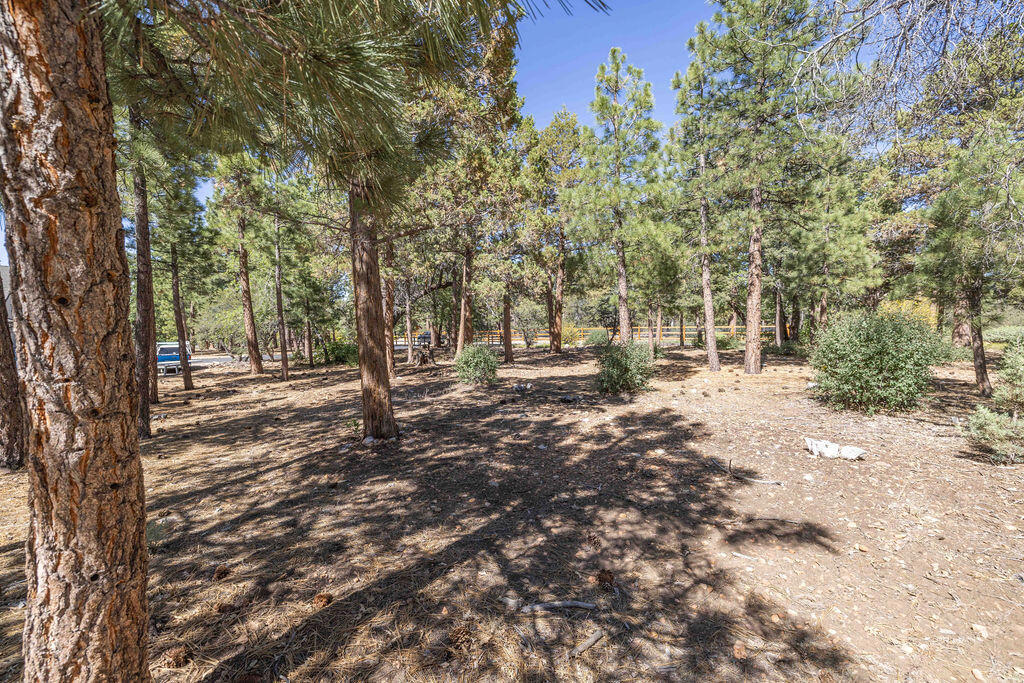 655 Cedar Glen Drive