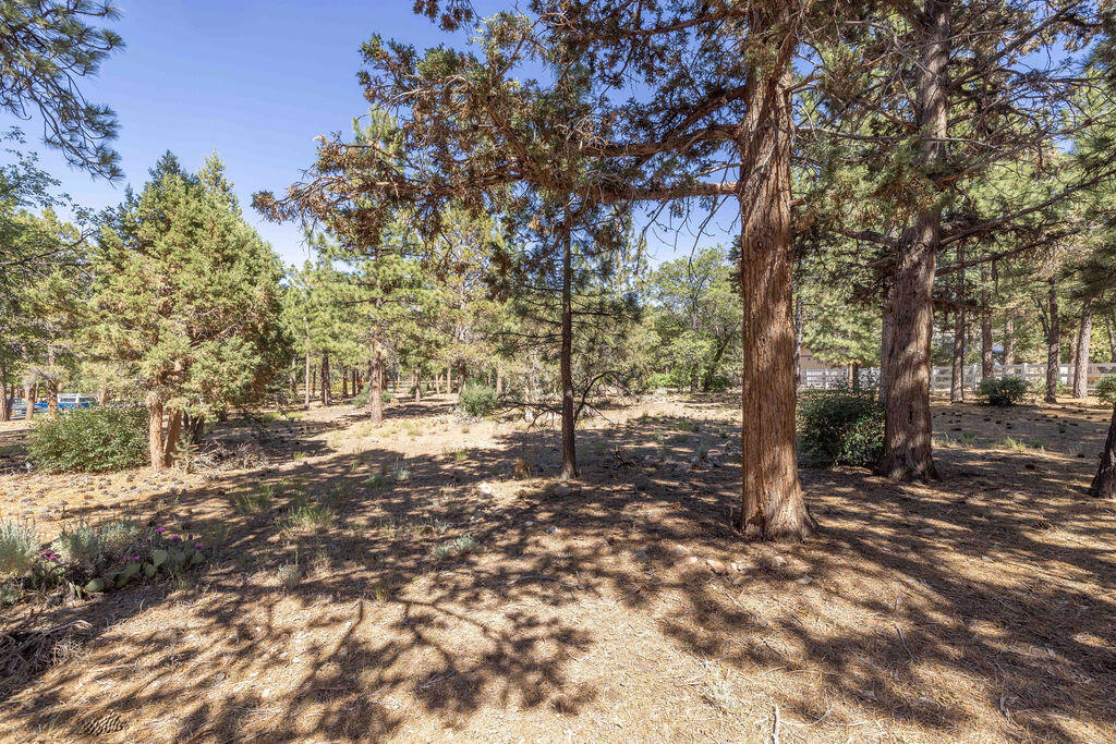 655 Cedar Glen Drive
