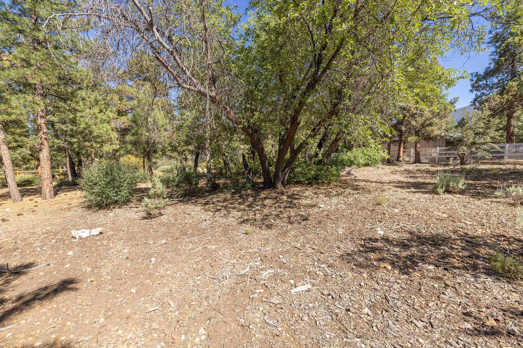 655 Cedar Glen Drive