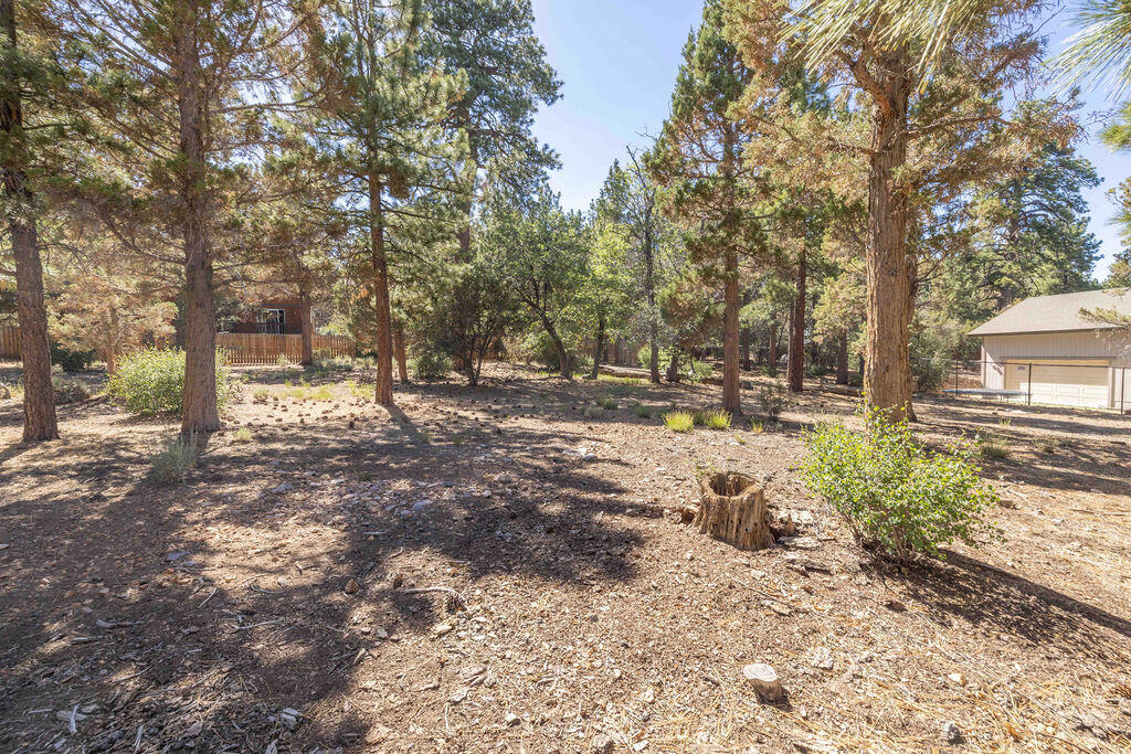 655 Cedar Glen Drive