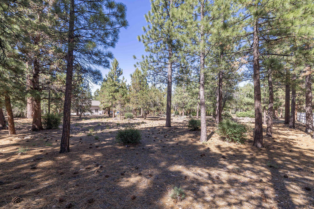655 Cedar Glen Drive