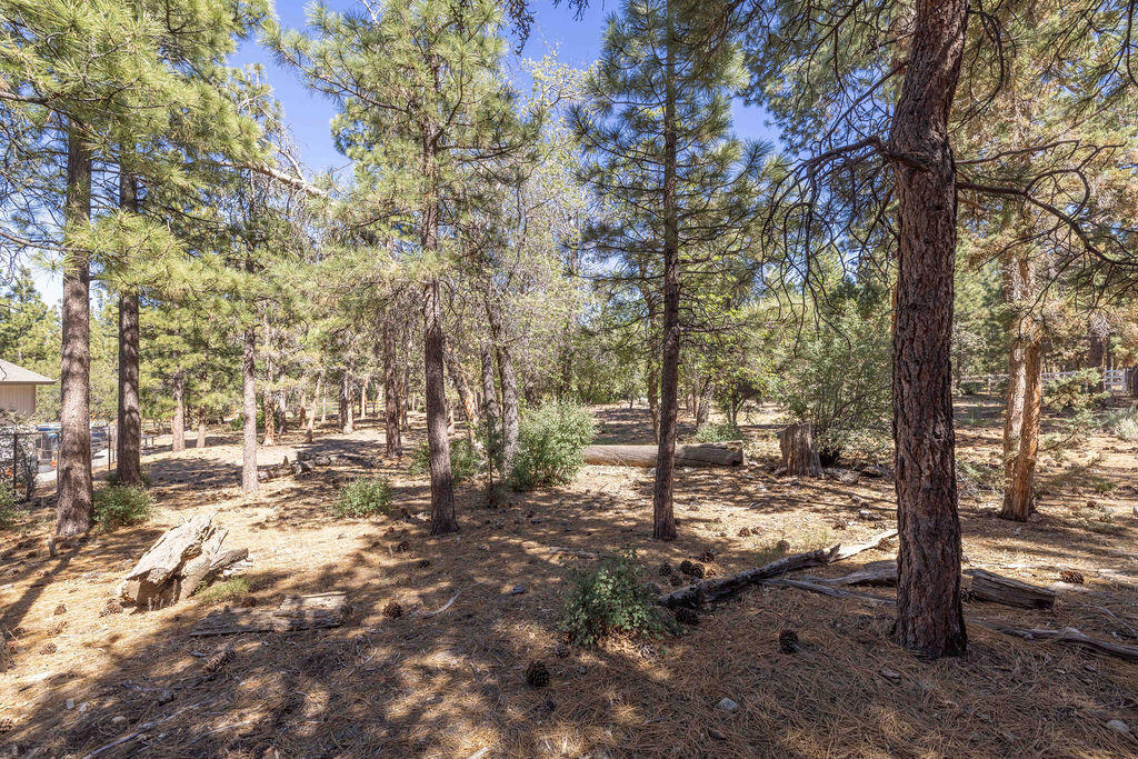 655 Cedar Glen Drive