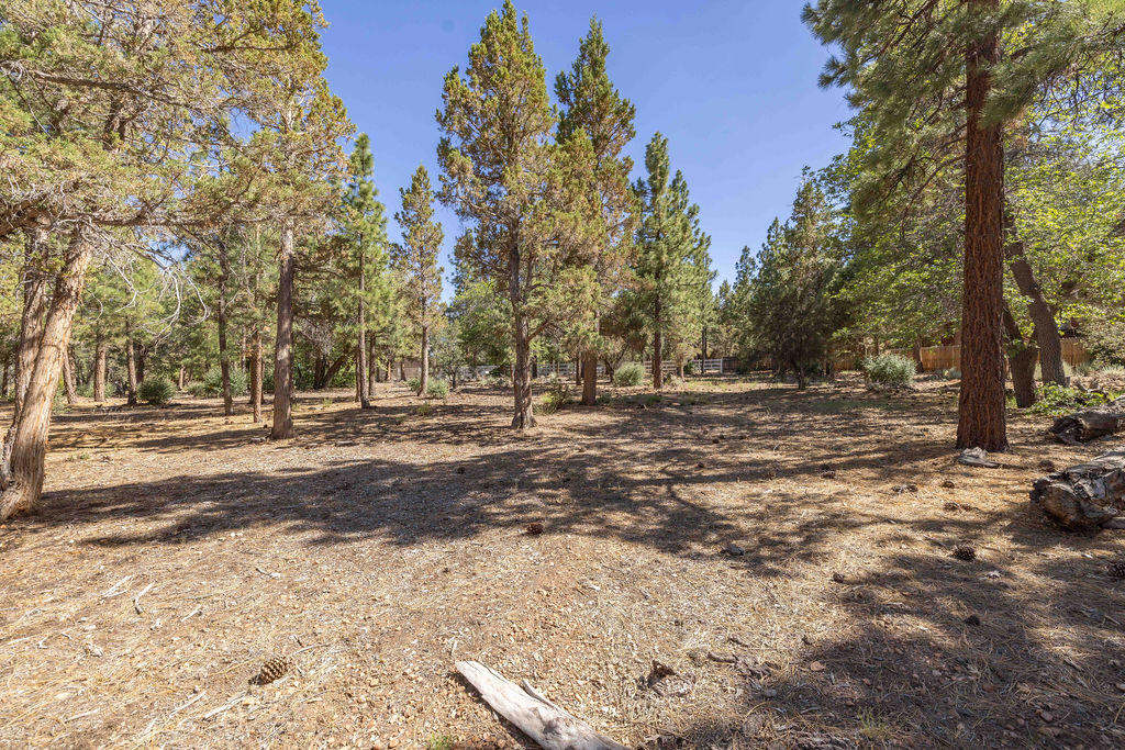 655 Cedar Glen Drive
