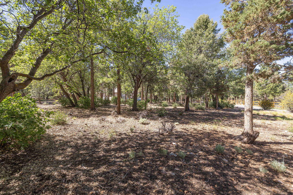 655 Cedar Glen Drive