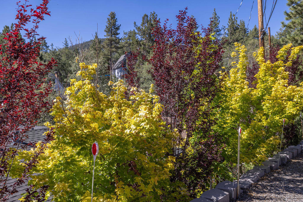 1126 Crags Lane