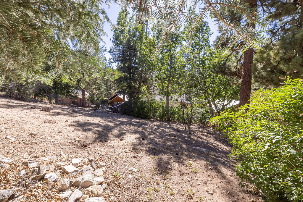 1126 Crags Lane