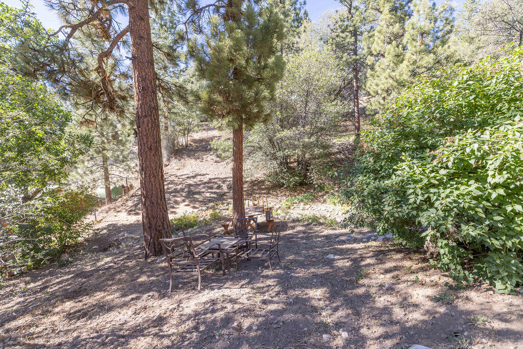1126 Crags Lane