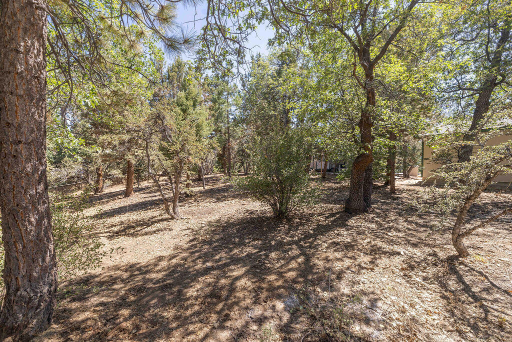 0 Plumas Court