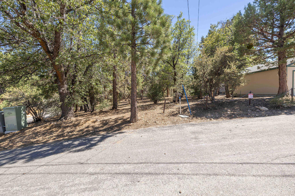 0 Plumas Court