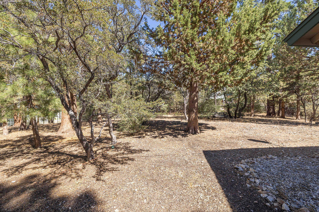 0 Plumas Court