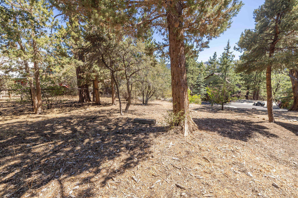 0 Plumas Court