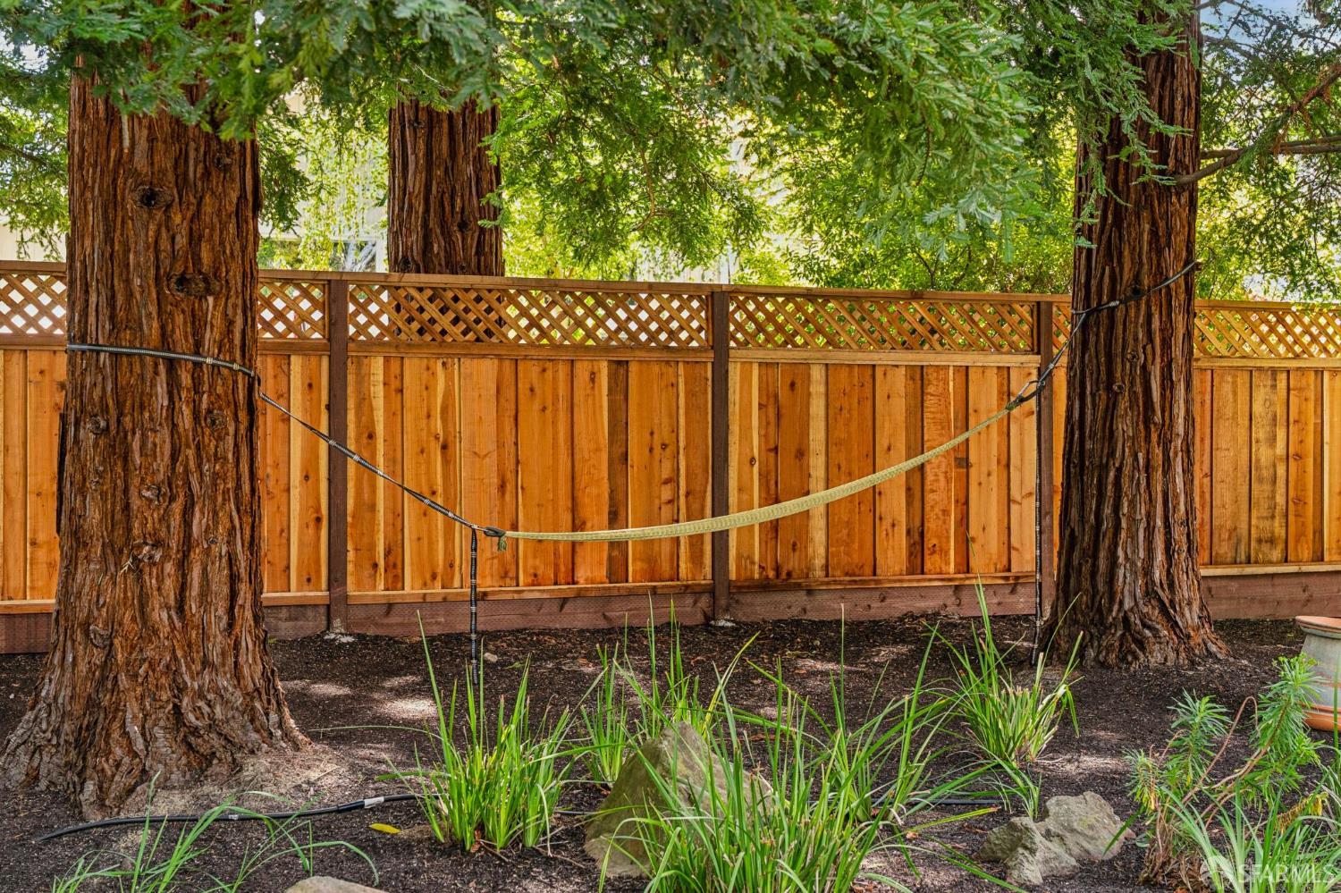 125 Cottonwood Place