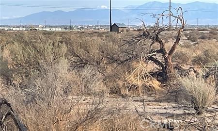 52 Vac/Cor Avenue G8/52nd Stw