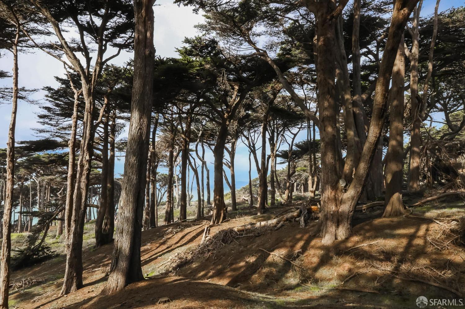 336 Point Lobos Avenue