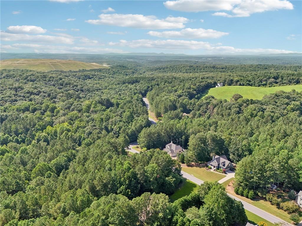 202 Saddlehorn Trail